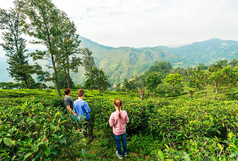 Best of Sri Lanka for Teens